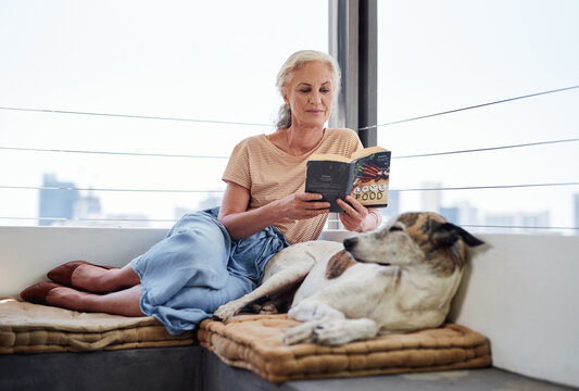 Senior woman, reading book and relax with dog on sofa for learning, knowledge or comfortable together in living room. Animal, story and elderly person with pet for hobby, literature or peace in home
