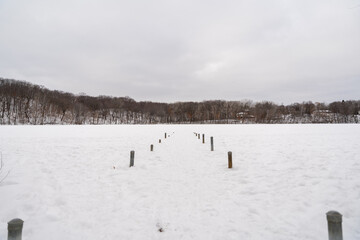 A frozen view of snow and trees at a local Minnesota park in winter.