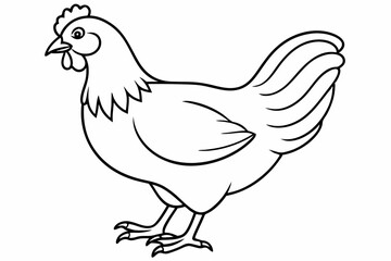 
chicken silhouette, chicken line drawing, Black silhouette of a rooster standing. Vector illustration
