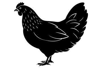 
chicken silhouette, chicken line drawing, Black silhouette of a rooster standing. Vector illustration
