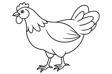 
chicken silhouette, chicken line drawing, Black silhouette of a rooster standing. Vector illustration

