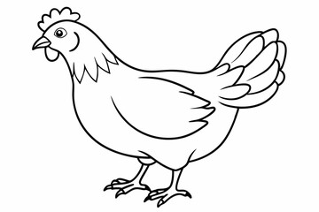 
chicken silhouette, chicken line drawing, Black silhouette of a rooster standing. Vector illustration
