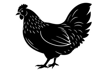 
chicken silhouette, chicken line drawing, Black silhouette of a rooster standing. Vector illustration
