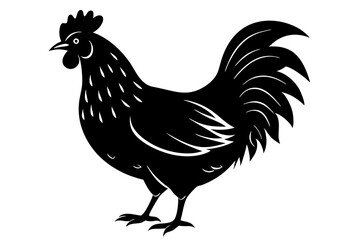
chicken silhouette, chicken line drawing, Black silhouette of a rooster standing. Vector illustration
