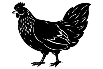 
chicken silhouette, chicken line drawing, Black silhouette of a rooster standing. Vector illustration

