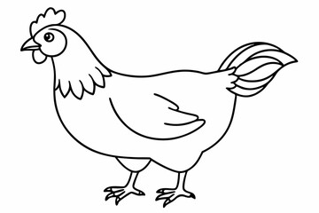 
chicken silhouette, chicken line drawing, Black silhouette of a rooster standing. Vector illustration
