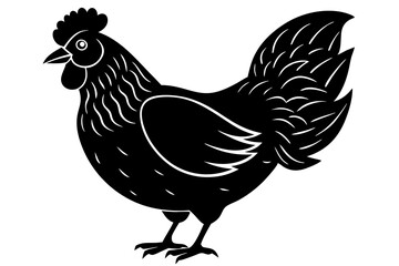 
chicken silhouette, chicken line drawing, Black silhouette of a rooster standing. Vector illustration
