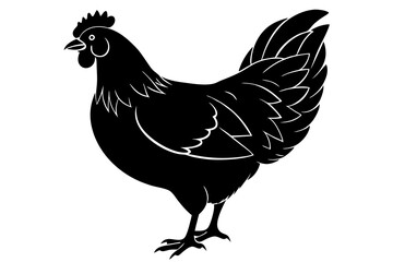 
chicken silhouette, chicken line drawing, Black silhouette of a rooster standing. Vector illustration
