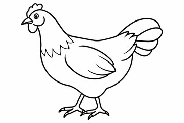 
chicken silhouette, chicken line drawing, Black silhouette of a rooster standing. Vector illustration
