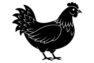 
chicken silhouette, chicken line drawing, Black silhouette of a rooster standing. Vector illustration

