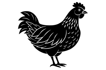 
chicken silhouette, chicken line drawing, Black silhouette of a rooster standing. Vector illustration
