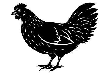 
chicken silhouette, chicken line drawing, Black silhouette of a rooster standing. Vector illustration
