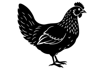 
chicken silhouette, chicken line drawing, Black silhouette of a rooster standing. Vector illustration
