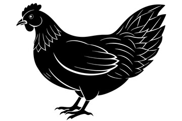 
chicken silhouette, chicken line drawing, Black silhouette of a rooster standing. Vector illustration
