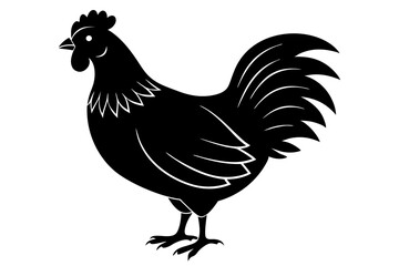 
chicken silhouette, chicken line drawing, Black silhouette of a rooster standing. Vector illustration
