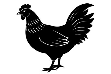 
chicken silhouette, chicken line drawing, Black silhouette of a rooster standing. Vector illustration

