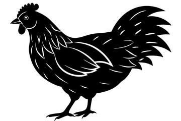 
chicken silhouette, chicken line drawing, Black silhouette of a rooster standing. Vector illustration
