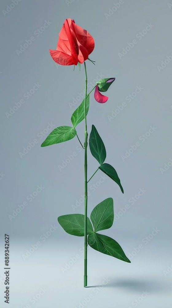 Wall mural A sweet pea flower in full bloom with leaves