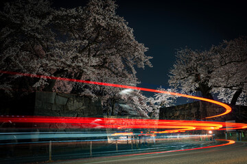 夜桜とレーザービーム