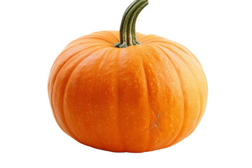 Obraz premium Single pumpkin with a green stem, placed alone on a white background, emphasizing its smooth skin and vibrant orange color