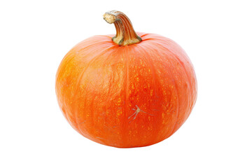 Whole orange pumpkin with a smooth surface, isolated on a white background, showcasing its round shape and vibrant color