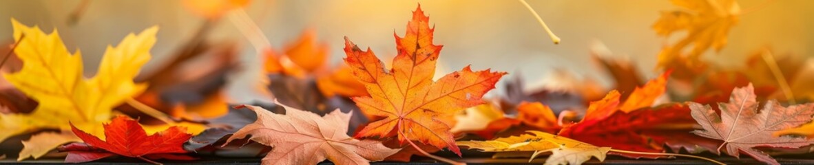 vibrant autumn leaves with golden sunlight and warm colors, perfect for fall season themed designs.