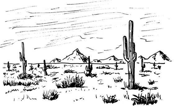 hand drawn vector black and white sketch of an western desert landscape