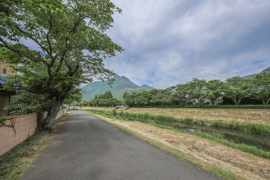 Yufuin Field Farm, Pastoral Charm in Nagasaki Countryside May 15 2024