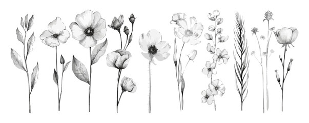 A series of black and white flowers are shown in various sizes and positions. The flowers are arranged in a line, with some overlapping and others standing alone