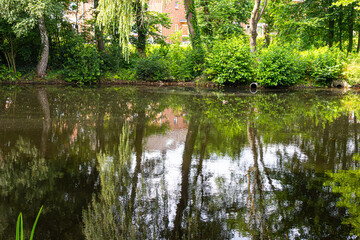 Fototapete bei efototapeten.de bestellen   