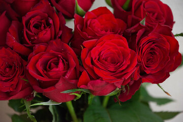 赤い薔薇