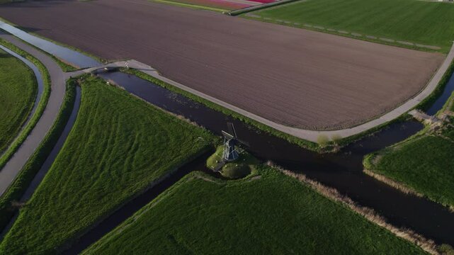 Aerial view of colorful tulip fields and windmills, Workum, Netherlands.
