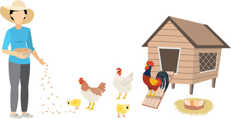 Farmers at work. A woman feeds a chicken near the poultry house. People work on farm. Livestock farm scene. Isolated on a white background.