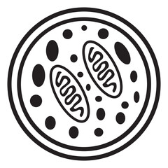 autophagosome line icon 