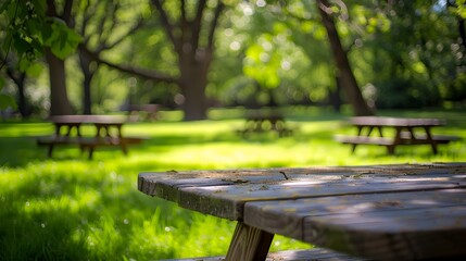 Fototapeta premium Peaceful Picnic Retreat in Lush Urban Park with Copy Space