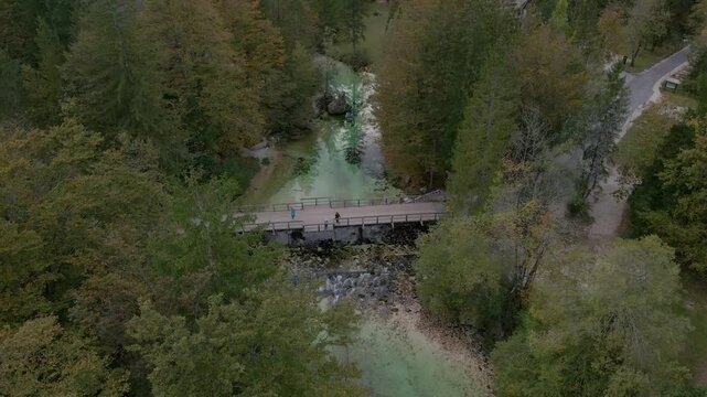 Aerial view of tranquil river, forest, and bridge in Ukanc, Bohinj, Slovenia.