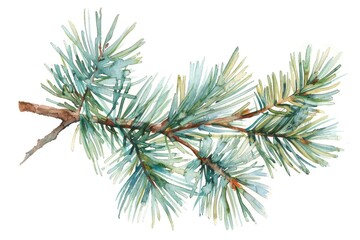 Watercolor illustration of a single branch from a pine tree, with delicate brushstrokes and natural colors