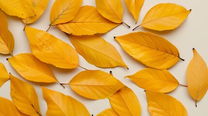 Autumn leaves texture with golden hues, perfect for fall-themed designs and seasonal decorations. Illustrater Image, Shiny, bright, beautiful , Minimalism,