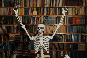 Human skeleton with arms raised up. Bookshelves with books.