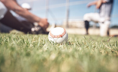 Grass, softball and ball on field for game, competition and pitch for training of team. Sport people warm up, baseball and lawn for practice and hobby on floor with equipment in Florida stadium