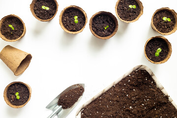 Seedlings in peat pots with gardening tools and soil for plants on a tray