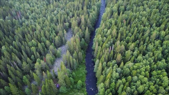 Arial view, a drone shot above the river and forest