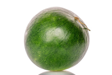 One ripe sweet watermelon, macro, isolated on white background.
