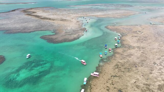 Patacho Nature Pool At Sao Miguel Dos Milagres Alagoas Brazil. Breathtaking Aerial View Of A Lush Tropical Coastline Scenery. Paradise Landscape Peaceful Wanderlust. Paradise Summertime.