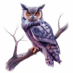 A detailed watercolor illustration of an owl adorned in a mystical midnight costume