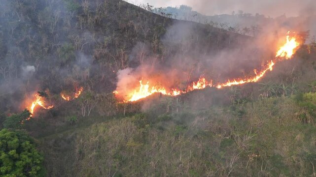 Aerial of forest fire in Jacks Hill, Kingston, Jamaica. Due to the heatwave and climate change.