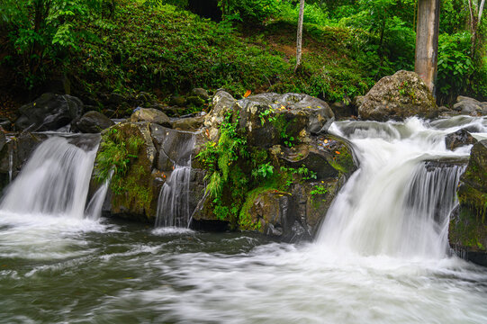 El Salto