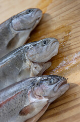 Carving three raw fresh trouts on the old wooden cutting board. Cooking whole freshwater rainbow forel fish. Oncorhynchus mykiss on the chopping plate. Wood background. Close up. Copy space. Top view