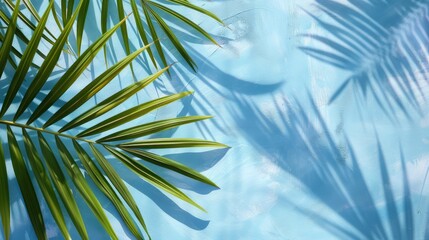 Palm leaf design on blue background for organic skincare