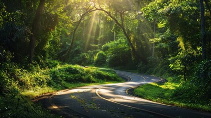Obraz premium A winding road in a forest with trees on both sides. The road is surrounded by green foliage and the sunlight is shining through the trees